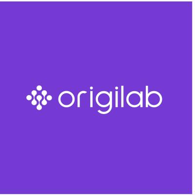 Origilab Digital Agency